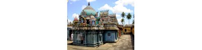 திருக்கொலிலி - ஆவணி விதங்கர் - பிருங்க நடனம்